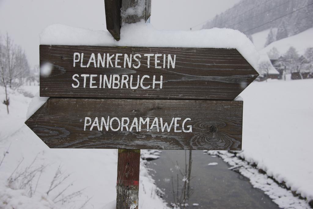 Chalet Gamsjäger Gosau Rum bild